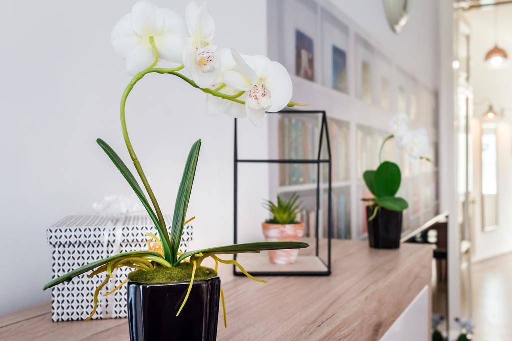 Bpr Purehome Apartment Budapest Ngoại thất bức ảnh